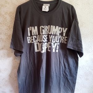 Walt Disney World Grumpy Tee NWT XL